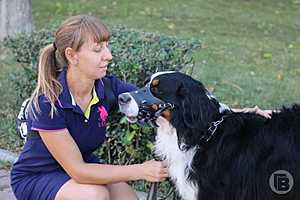 Фото: Матвей Горбунов / "Городские вести"