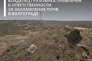 Фото: Росприроднадзор