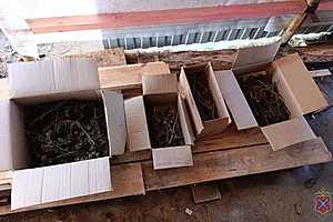 Фото: ГУ МВД России по Волгоградской области