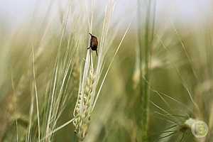 Фото: Дмитрий Рогулин / "Городские вести"