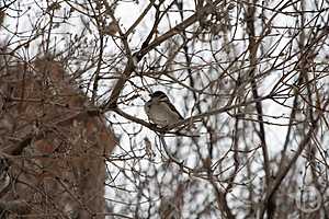 Фото: Дмитрий Рогулин / "Городские вести"