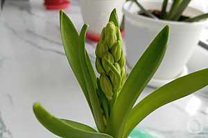 Фото: "Городские вести"