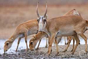 Фото: Дмитрий Рогулин / "Городские вести"