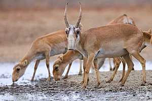 фото: Дмитрий Рогулин / "Городские вести"