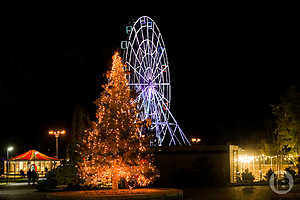 Фото: Дмитрий Рогулин / "Городские вести"