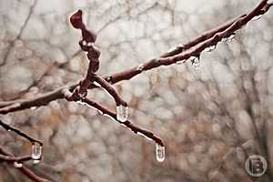 Фото: "Городские вести"