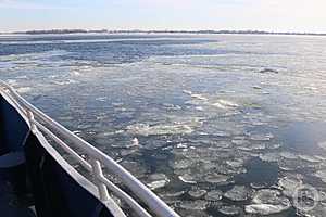 Фото: Дмитрий Рогулин/"Городские вести"