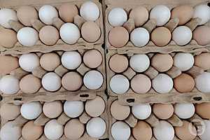 Фото: "Городские вести"