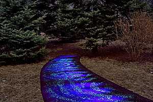 Фото: Администрация Волжского