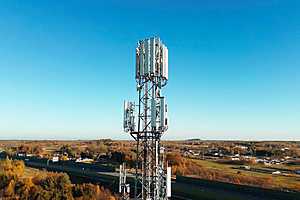 фото: Shutterstock/ автор alexgo.photograph