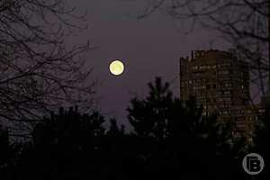 фото: Дмитрий Рогулин / "Городские вести"