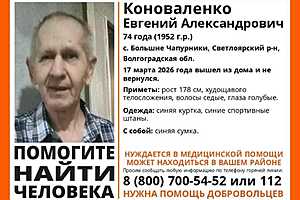 фото: "ЛизаАлерт" Волгоградская область