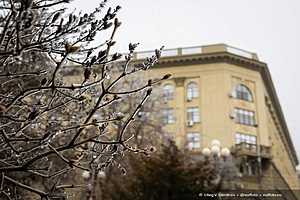 Фото: Олег Димитров / "Городские вести"