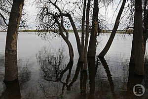 Фото: Дмитрий Рогулин / "Городские вести"