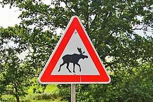 Фото: Администрация Волгоградской области