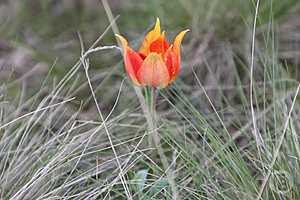 Фото: Дмитрий Рогулин/"Городские вести"