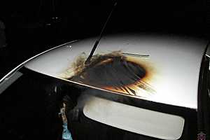 Фото: ГУ МВД России по Волгоградской области