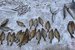 фото: ГУ МВД России по Волгоградской области