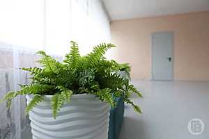 Фото: Данил Савченко / "Городские вести"