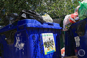 Фото: Дмитрий Рогулин / "Городские вести"