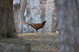 Фото: Михаил Тарасов