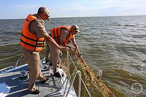 Фото: Дмитрий Рогулин / "Городские вести"