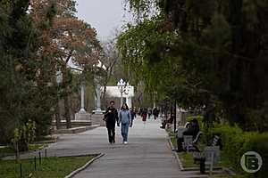 Фото: Дмитрий Рогулин/"Городские вести"