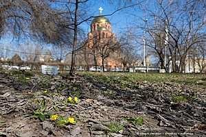 Фото: Олег Димитров / "Городские вести"