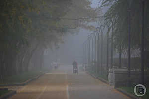 Фото: Дмитрий Рогулин / "Городские вести"