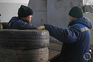 Фото: Дмитрий Рогулин / "Городские вести"