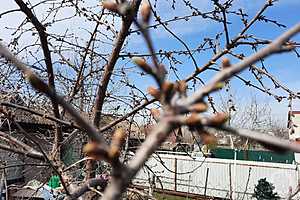 Фото: "Городские вести"