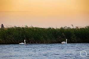 Фото: Данил Савченко / "Городские вести"