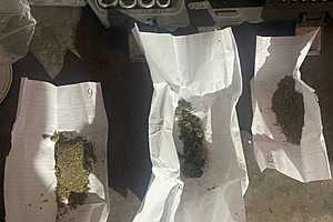 Фото: ГУ МВД России по Волгоградской области