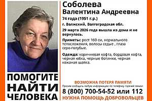 Фото предоставлено поисковым отрядом "ЛизаАлерт"