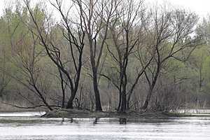 Фото: Дмитрий Рогулин/"Городские вести"