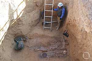 Фото: Дмитрий Рогулин/"Городские вести"