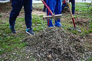 Фото: Дмитрий Рогулин / "Городские вести"