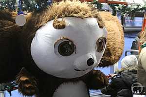 Фото: Дмитрий Рогулин / "Городские вести"