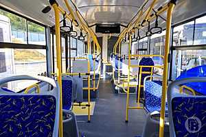 Фото: Дмитрий Рогулин / "Городские вести"