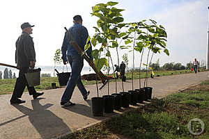 Фото: Дмитрий Рогулин / "Городские вести"