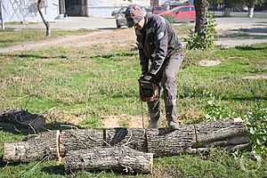 Фото: Павел Мирошкин / "Городские вести"