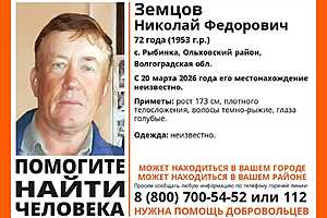 Фото предоставлено поисковым отрядом "ЛизаАлерт"