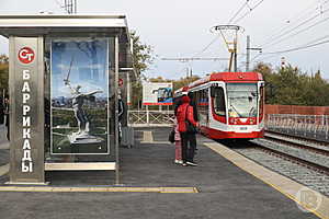 Фото: Дмитрий Рогулин / "Городские вести"