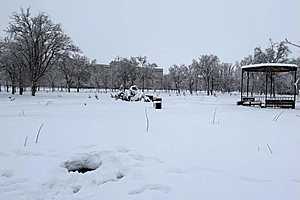 Фото: Волгоградская областная прокуратура