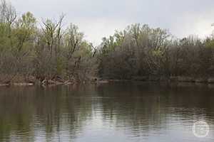 Фото: Дмитрий Рогулин / "Городские вести"