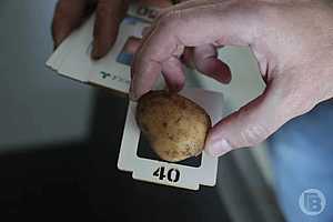 Фото: Дмитрий Рогулин / "Городские вести"