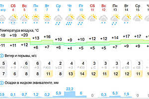 Фото: скриншот Gismeteo