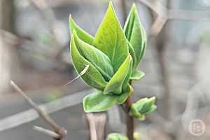 Фото: "Городские вести"