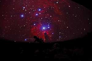 Фото: Данил Савченко/"Городские вести"