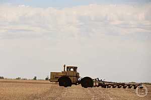 Фото: Дмитрий Рогулин / "Городские вести"